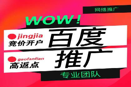 案例研究：SEM优化助力品牌知名度